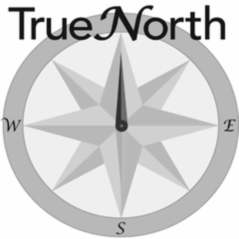 TRUENORTH W S E Logo (USPTO, 16.08.2011)