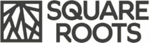 SQUARE ROOTS Logo (USPTO, 09/11/2017)