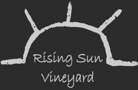 RISING SUN VINEYARD Logo (USPTO, 05/01/2018)