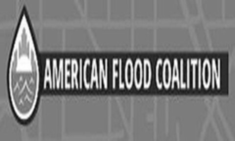 AMERICAN FLOOD COALITION Logo (USPTO, 09.10.2018)