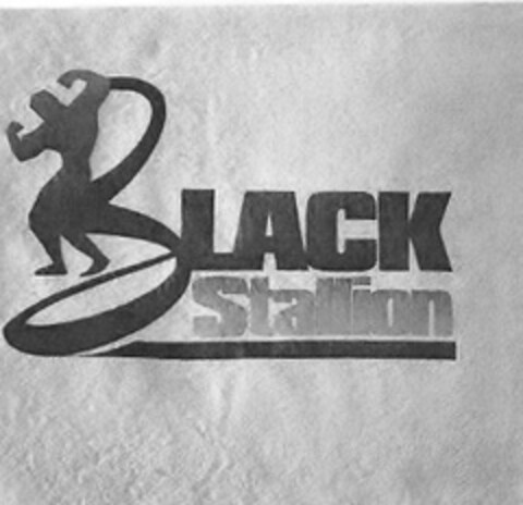 BLACK STALLION Logo (USPTO, 22.10.2018)