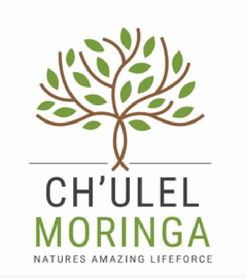 CH'ULEL MORINGA NATURES AMAZING LIFE FORCE Logo (USPTO, 02.01.2019)