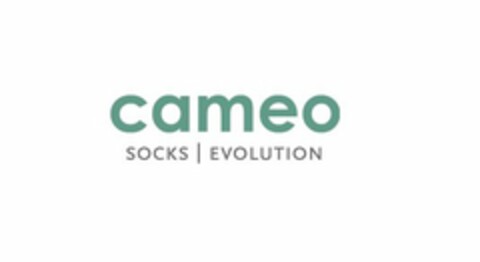 CAMEO SOCKS | EVOLUTION Logo (USPTO, 11/08/2016)