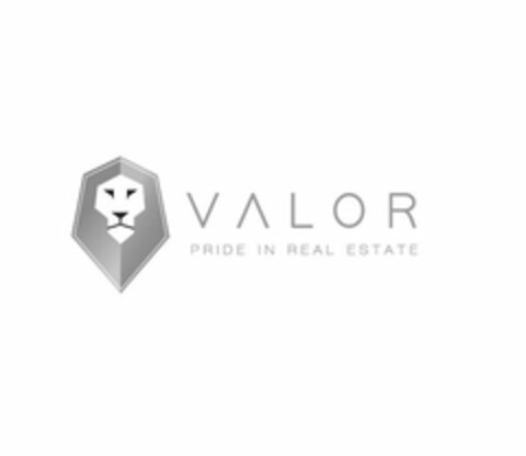 VALOR PRIDE IN REAL ESTATE Logo (USPTO, 15.06.2017)