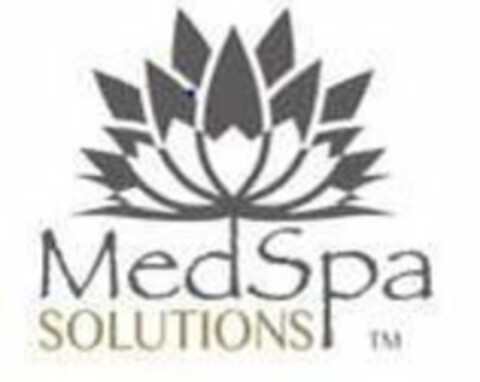 MEDSPA SOLUTIONS Logo (USPTO, 27.08.2020)