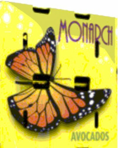 MONARCH AVOCADOS Logo (USPTO, 03/04/2009)