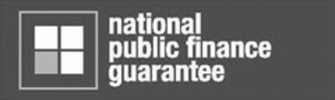 NATIONAL PUBLIC FINANCE GUARANTEE Logo (USPTO, 11.03.2009)