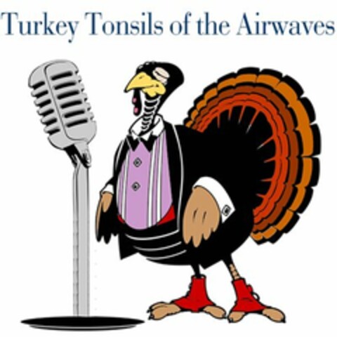 TURKEY TONSILS OF THE AIRWAVES Logo (USPTO, 02/03/2011)