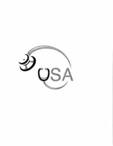 USA Logo (USPTO, 02/03/2011)