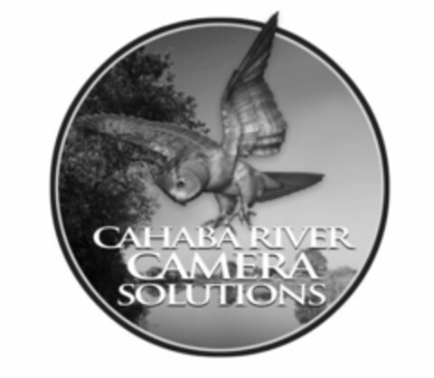 CAHABA RIVER CAMERA SOLUTIONS Logo (USPTO, 27.02.2012)