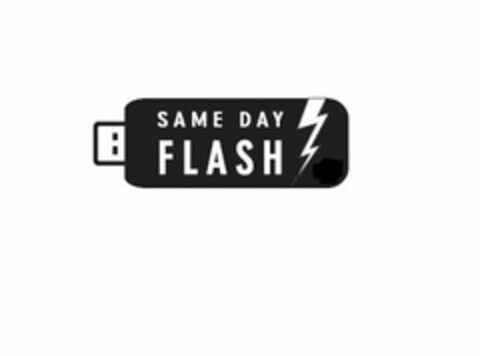 SAME DAY FLASH Logo (USPTO, 31.03.2015)