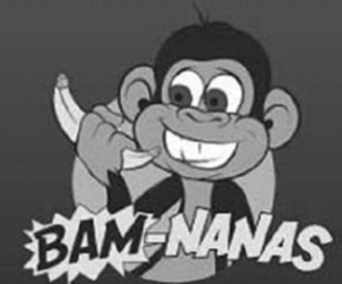 BAM-NANAS Logo (USPTO, 15.08.2018)