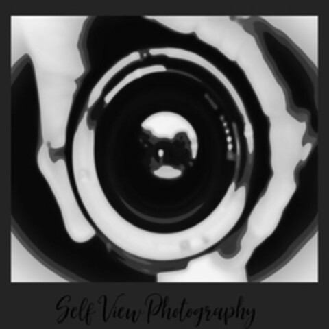 SELF VIEW PHOTOGRAPHY Logo (USPTO, 29.07.2020)