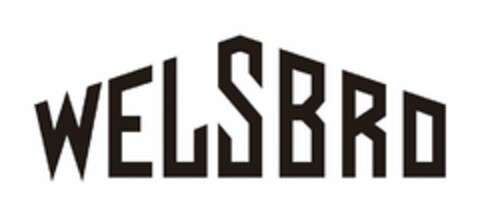 WELSBRO Logo (USPTO, 13.09.2020)