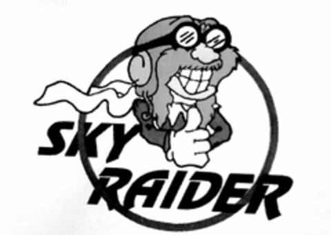 SKY RAIDER Logo (USPTO, 14.09.2020)