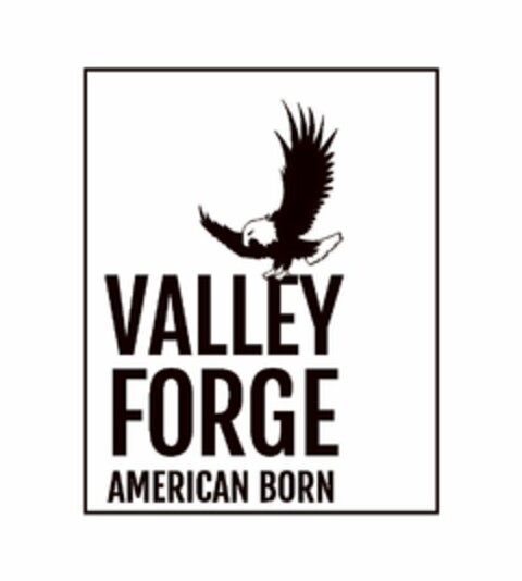 VALLEY FORGE AMERICAN BORN Logo (USPTO, 28.01.2014)