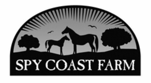 SPY COAST FARM Logo (USPTO, 05.05.2017)