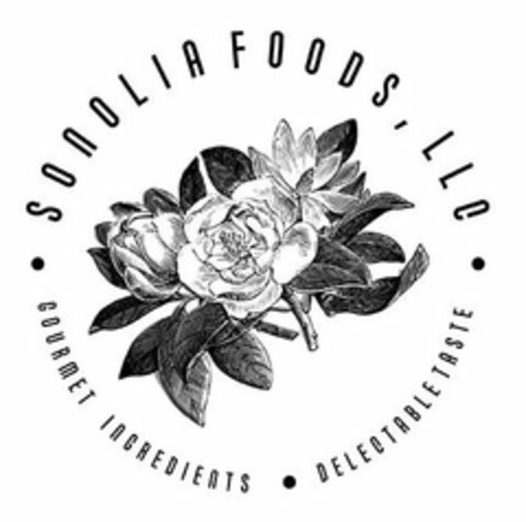 SONOLIA FOODS, LLC GOURMET INGREDIENTS DELECTABLE TASTE Logo (USPTO, 08/10/2020)