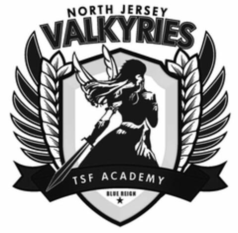 NORTH JERSEY VALKYRIES TSF ACADEMY BLUE REIGN Logo (USPTO, 20.10.2009)