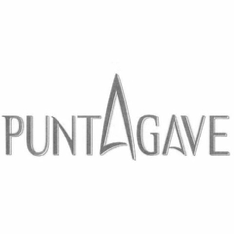 PUNTAGAVE Logo (USPTO, 02/18/2011)