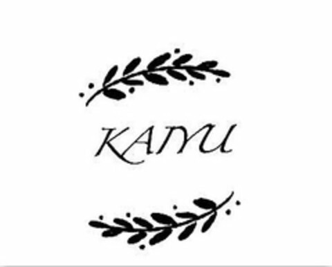 KAIYU Logo (USPTO, 22.01.2018)