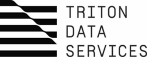 TRITON DATA SERVICES Logo (USPTO, 16.02.2018)