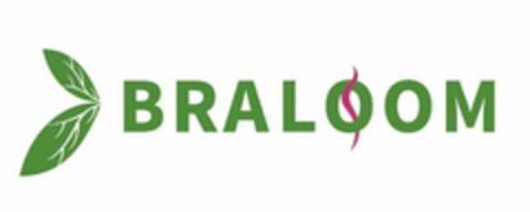 BRALOOM Logo (USPTO, 15.02.2019)