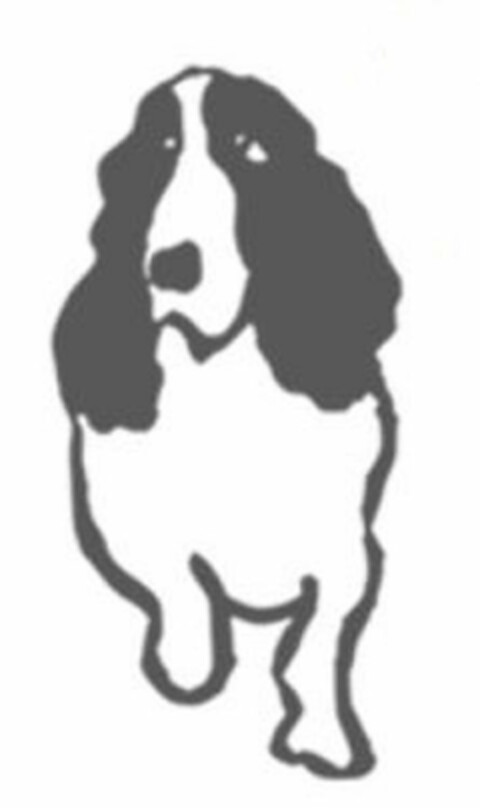  Logo (USPTO, 21.05.2019)