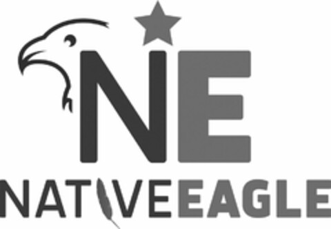 NE NATIVE EAGLE Logo (USPTO, 17.02.2020)