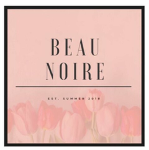 BEAU NOIRE: EST. SUMMER 2018 Logo (USPTO, 18.08.2020)