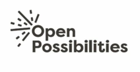 OPEN POSSIBILITIES Logo (USPTO, 30.10.2014)