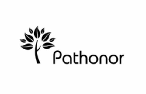 PATHONOR Logo (USPTO, 11/13/2016)