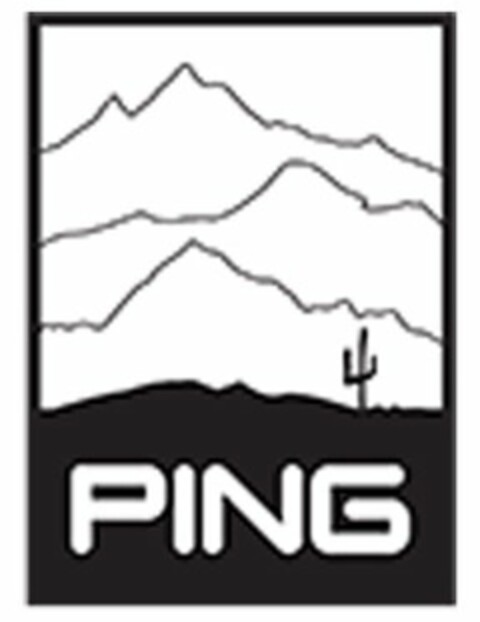 PING Logo (USPTO, 05/18/2017)