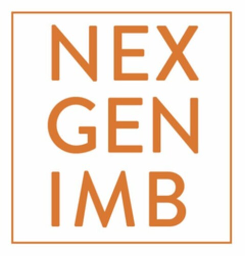 NEX GEN IMB Logo (USPTO, 12.01.2018)