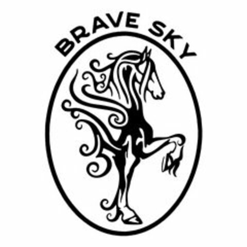 BRAVE SKY Logo (USPTO, 07.03.2018)