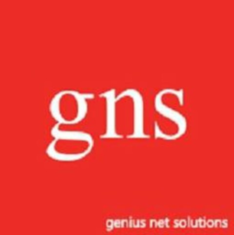GNS GENIUS NET SOLUTIONS Logo (USPTO, 06.02.2019)