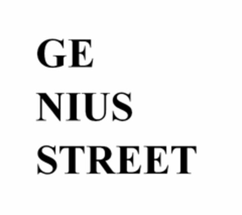 GE NIUS STREET Logo (USPTO, 29.03.2019)