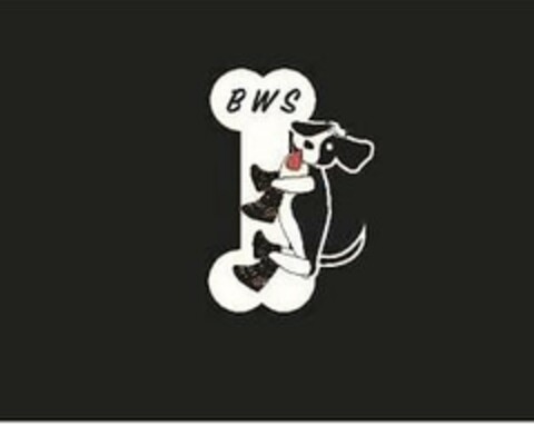 B W S Logo (USPTO, 29.10.2019)