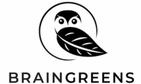 BRAINGREENS Logo (USPTO, 20.01.2020)