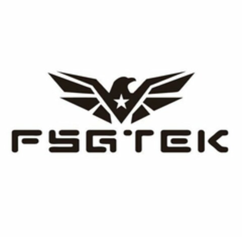 FSGTEK Logo (USPTO, 28.06.2020)