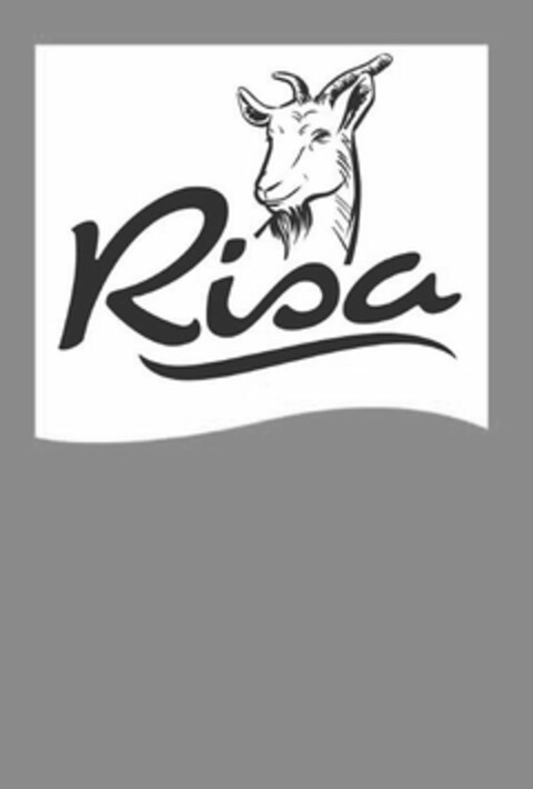 RISA Logo (USPTO, 08.03.2013)