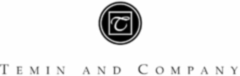 T TEMIN AND COMPANY Logo (USPTO, 01.10.2015)