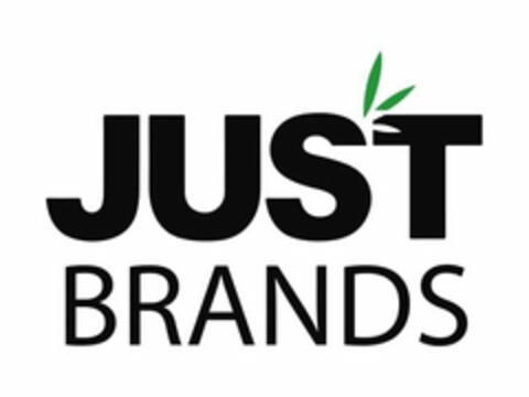 JUST BRANDS Logo (USPTO, 01/18/2019)