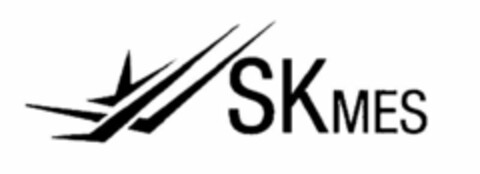 SKMES Logo (USPTO, 18.06.2009)