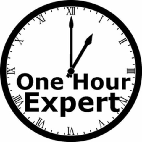 ONE HOUR EXPERT Logo (USPTO, 08/16/2011)