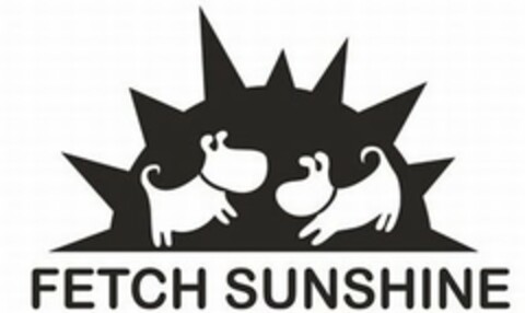 FETCH SUNSHINE Logo (USPTO, 30.12.2011)