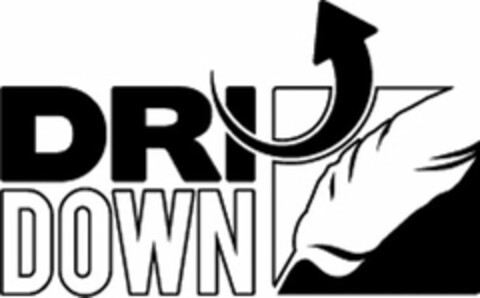 DRIDOWN Logo (USPTO, 03/27/2012)