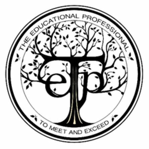 TEP THE EDUCATIONAL PROFESSIONAL TO MEET AND EXCEED Logo (USPTO, 11.09.2013)