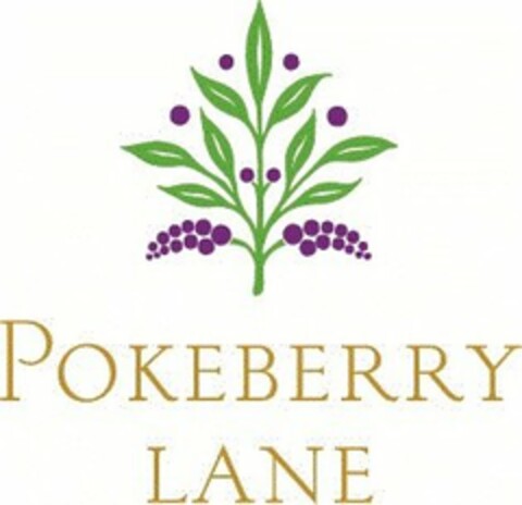 POKEBERRY LANE Logo (USPTO, 03/19/2015)