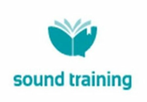 SOUND TRAINING Logo (USPTO, 29.05.2015)